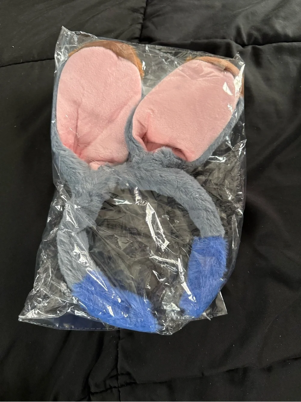 Judy Ears